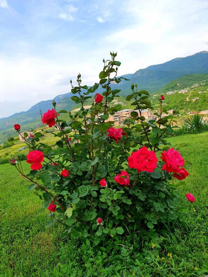 Guest House Ijevan'S Garden Esterno foto