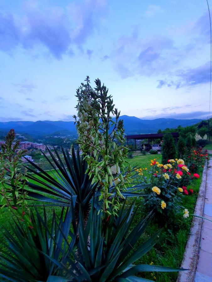 Guest House Ijevan'S Garden Esterno foto