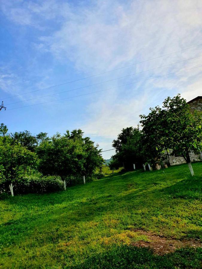 Guest House Ijevan'S Garden Esterno foto