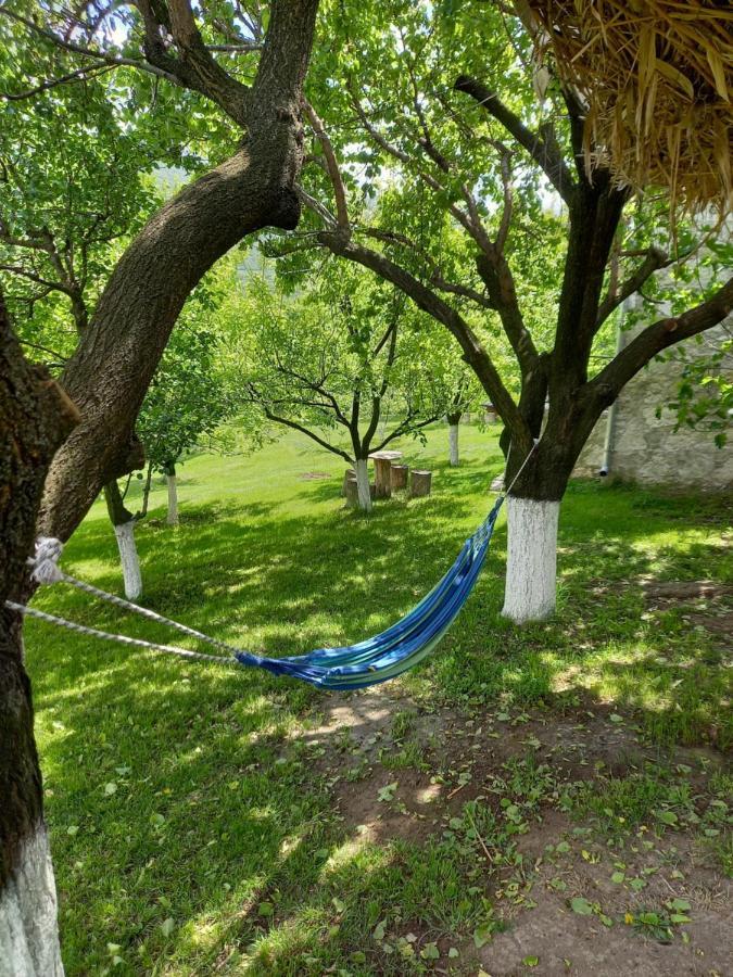 Guest House Ijevan'S Garden Esterno foto