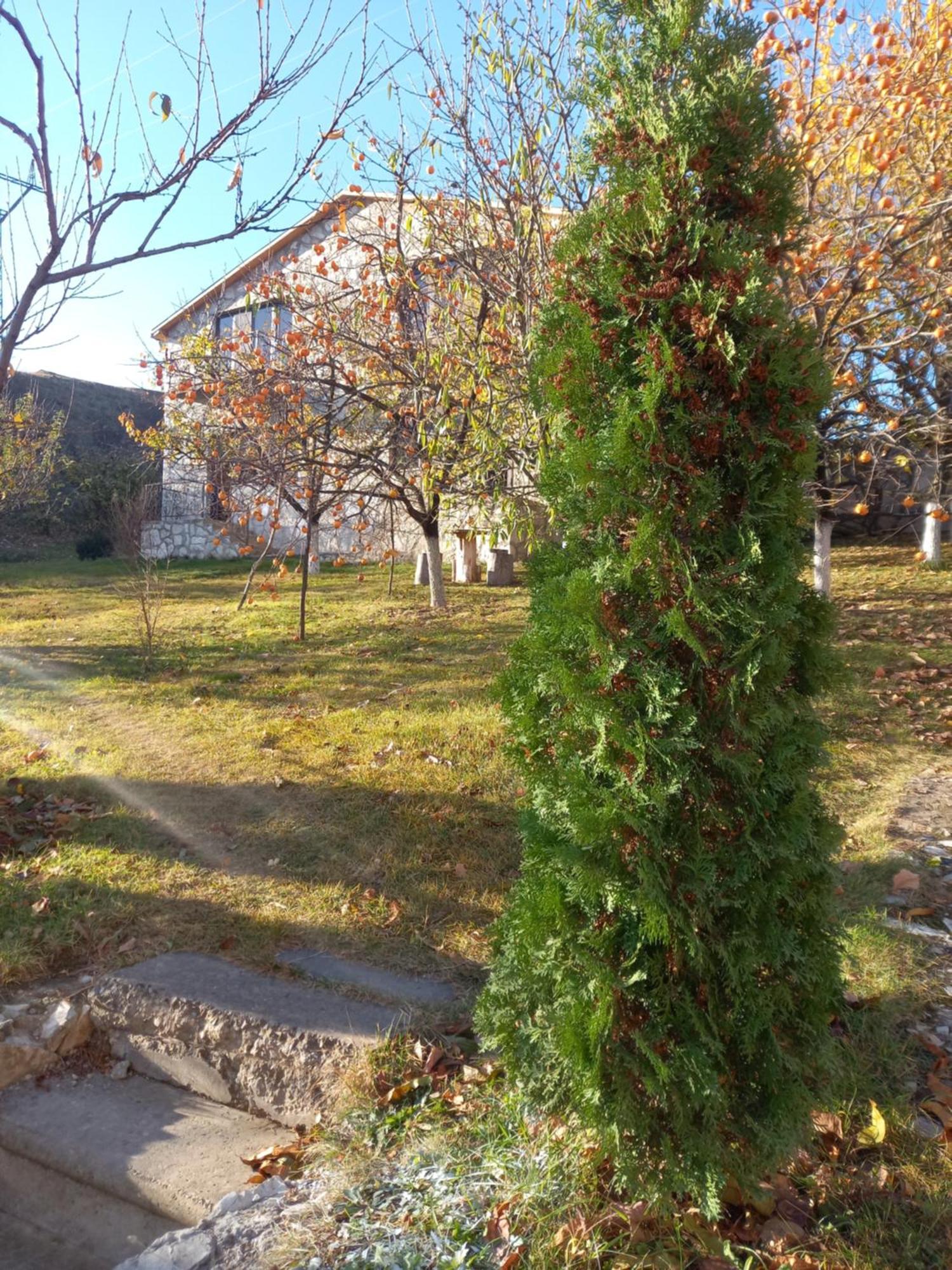 Guest House Ijevan'S Garden Esterno foto