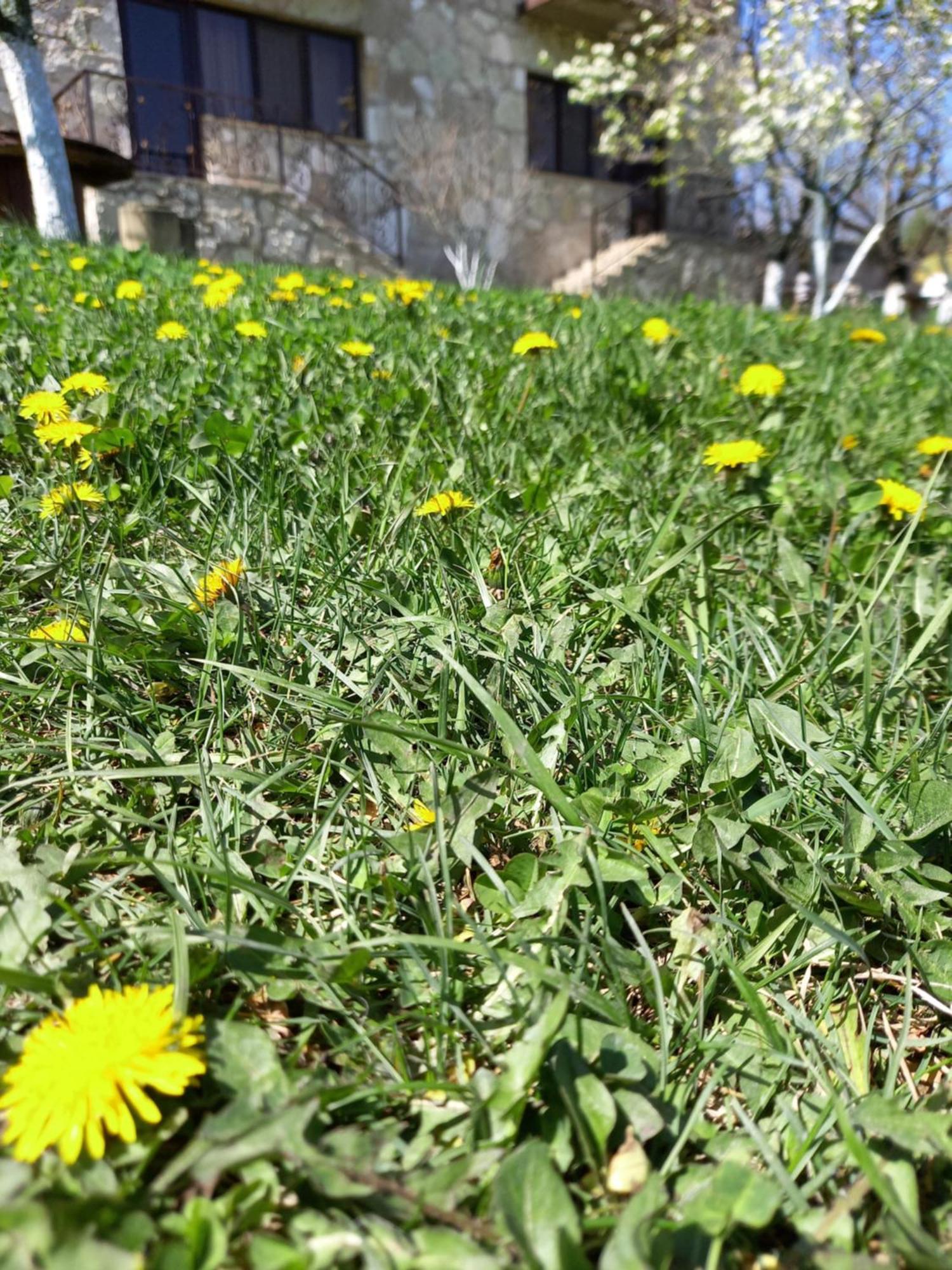Guest House Ijevan'S Garden Esterno foto