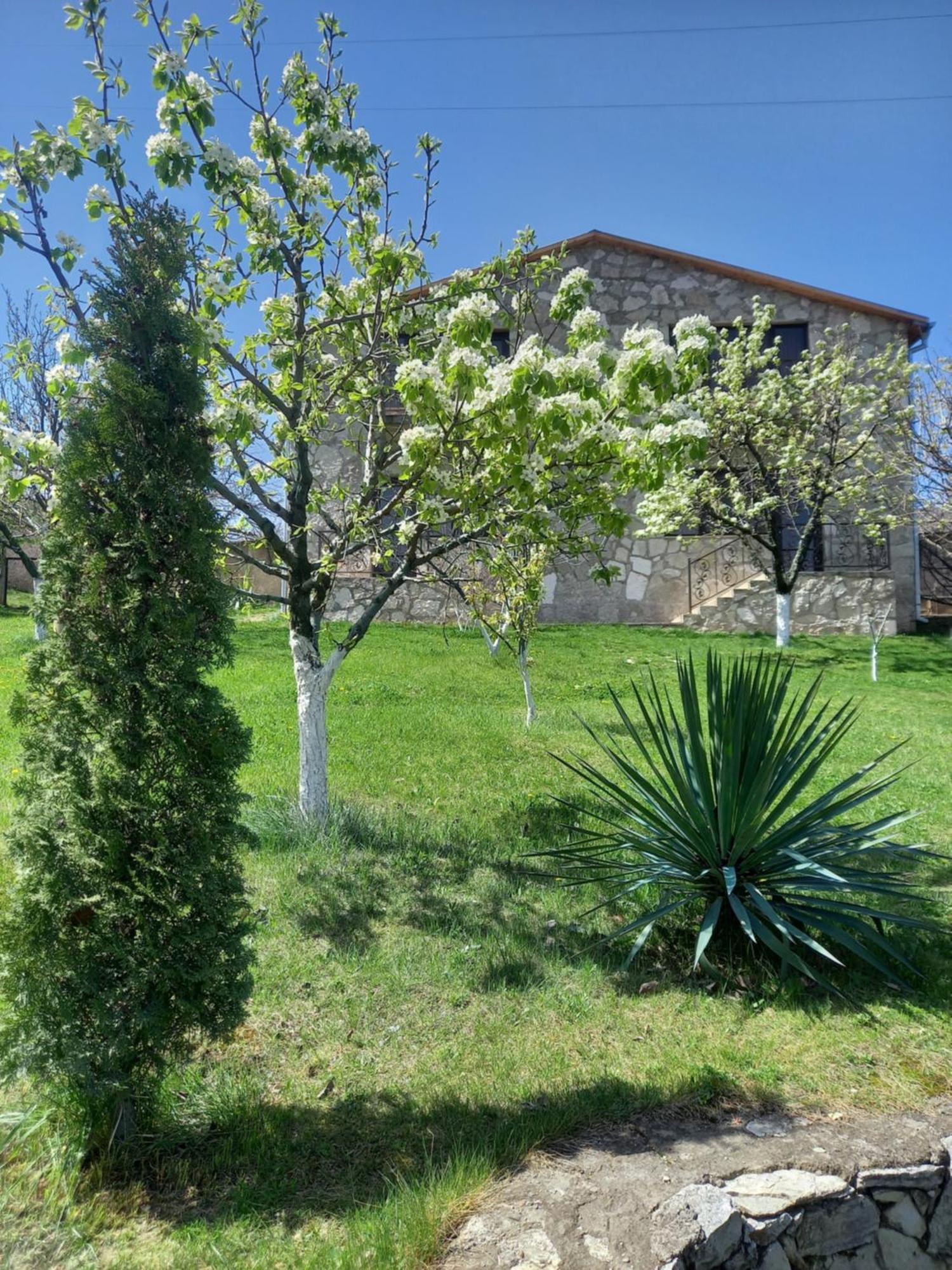 Guest House Ijevan'S Garden Esterno foto