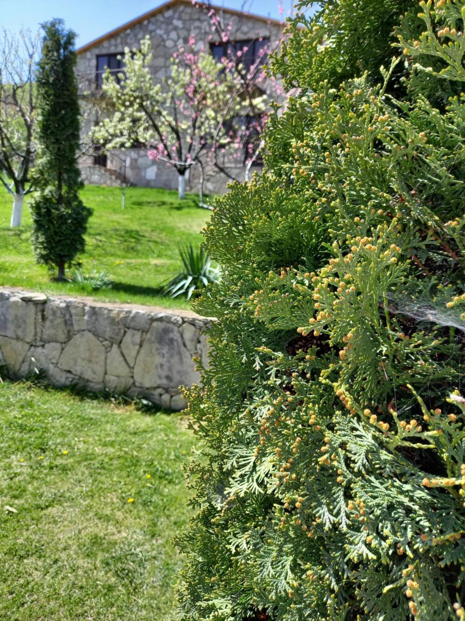 Guest House Ijevan'S Garden Esterno foto