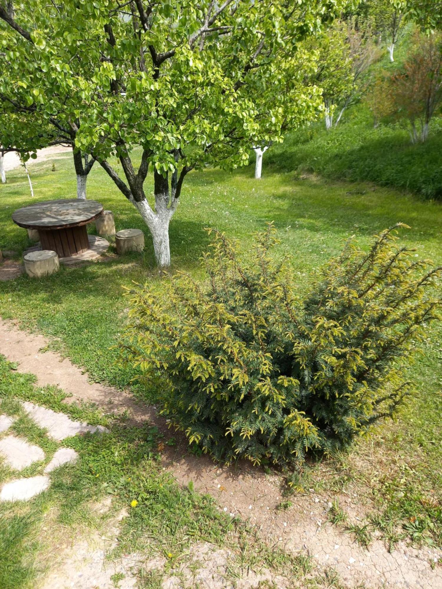 Guest House Ijevan'S Garden Esterno foto
