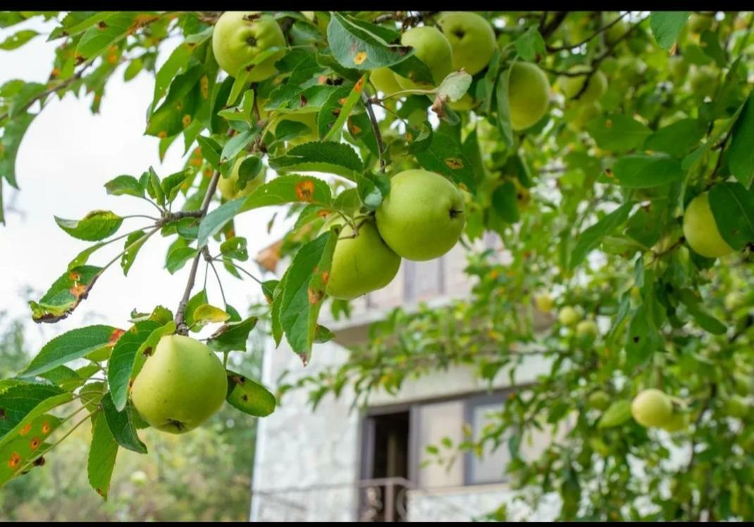 Guest House Ijevan'S Garden Esterno foto