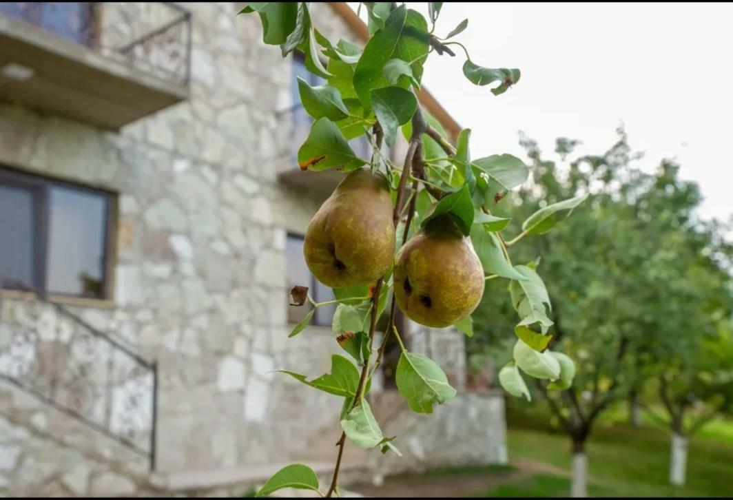 Guest House Ijevan'S Garden Esterno foto