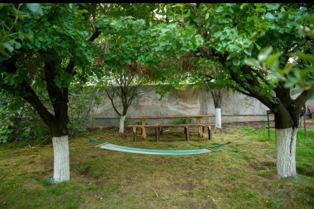 Guest House Ijevan'S Garden Esterno foto